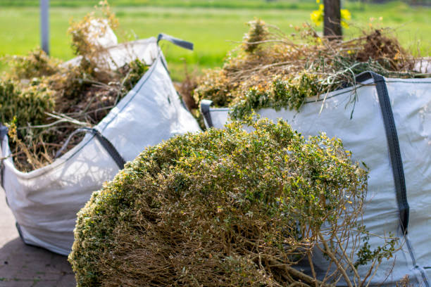 Best Office Cleanout  in Farmland, IN